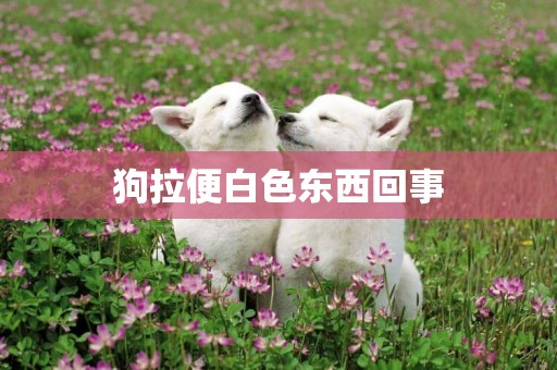 狗拉便白色東西回事