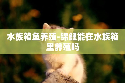 水族箱魚養殖-錦鯉能在水族箱里養殖嗎