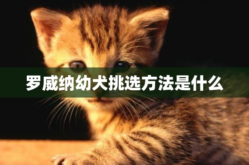 羅威納幼犬挑選方法是什么