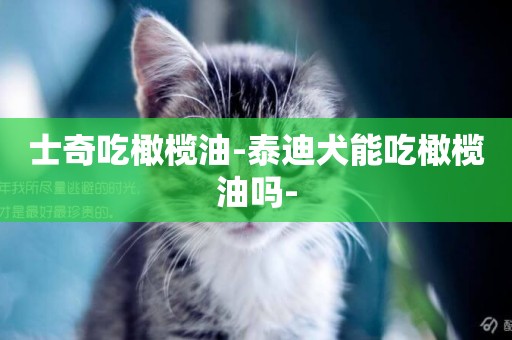 士奇吃橄欖油-泰迪犬能吃橄欖油嗎-