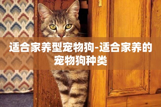 適合家養型寵物狗-適合家養的寵物狗種類