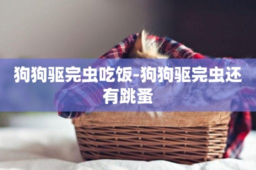 狗狗驅完蟲吃飯-狗狗驅完蟲還有跳蚤