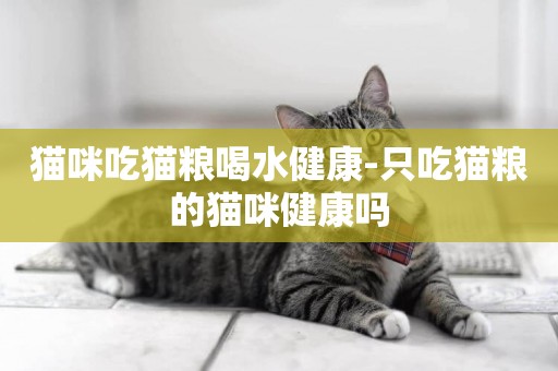 貓咪吃貓糧喝水健康-只吃貓糧的貓咪健康嗎