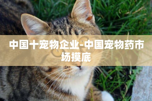 中國十寵物企業-中國寵物藥市場摸底