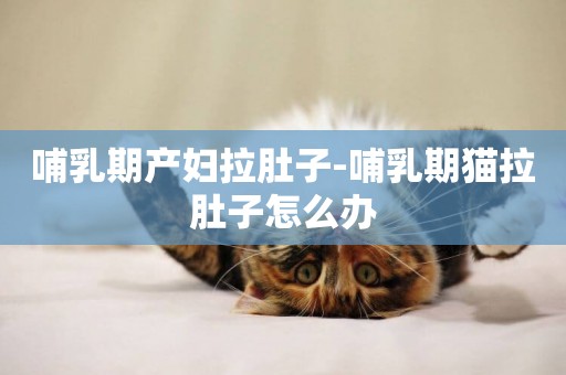 哺乳期產婦拉肚子-哺乳期貓拉肚子怎么辦