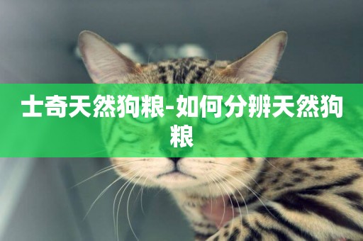 士奇天然狗糧-如何分辨天然狗糧