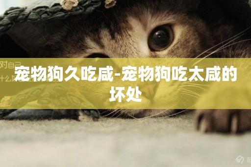 寵物狗久吃咸-寵物狗吃太咸的壞處