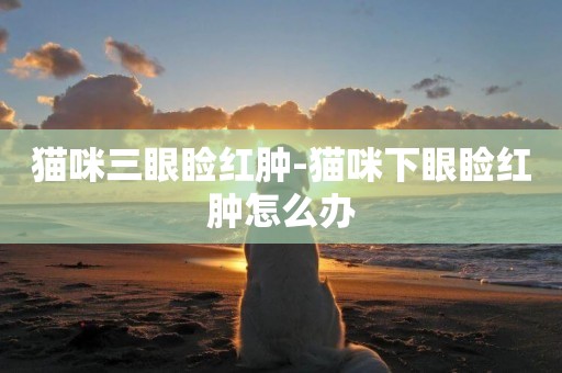 貓咪三眼瞼紅腫-貓咪下眼瞼紅腫怎么辦