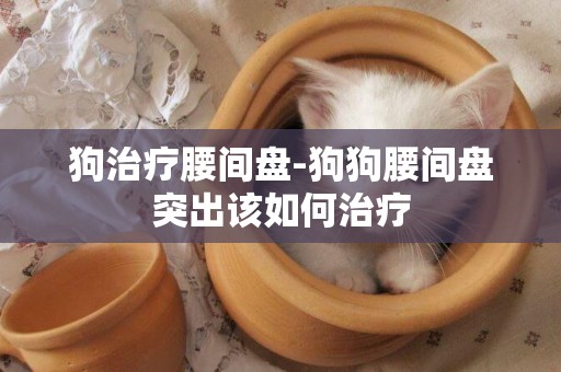 狗治療腰間盤-狗狗腰間盤突出該如何治療