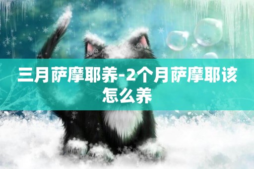 三月薩摩耶養-2個月薩摩耶該怎么養