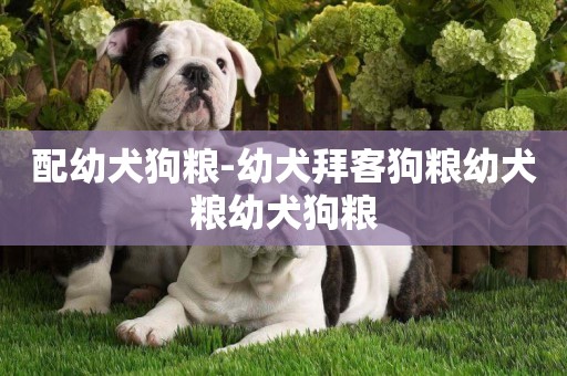 配幼犬狗糧-幼犬拜客狗糧幼犬糧幼犬狗糧