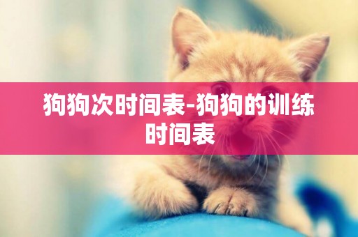 狗狗次時間表-狗狗的訓練時間表
