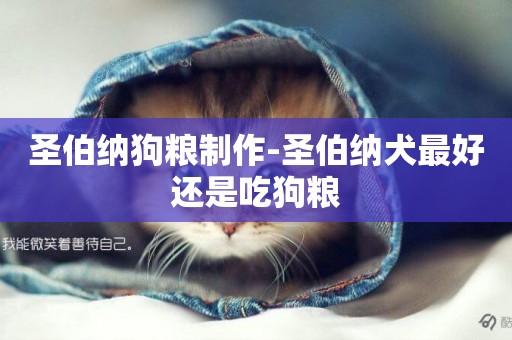 圣伯納狗糧制作-圣伯納犬最好還是吃狗糧