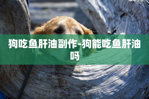 狗吃魚肝油副作-狗能吃魚肝油嗎