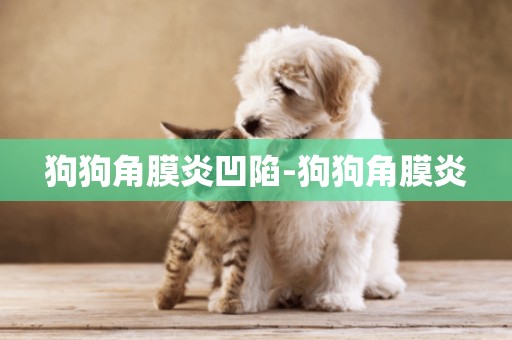 狗狗角膜炎凹陷-狗狗角膜炎