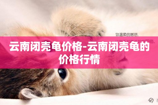 云南閉殼龜價格-云南閉殼龜的價格行情