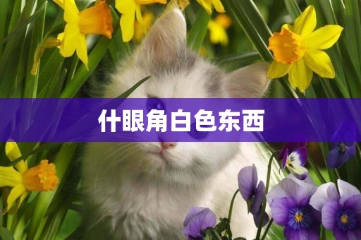 什眼角白色東西