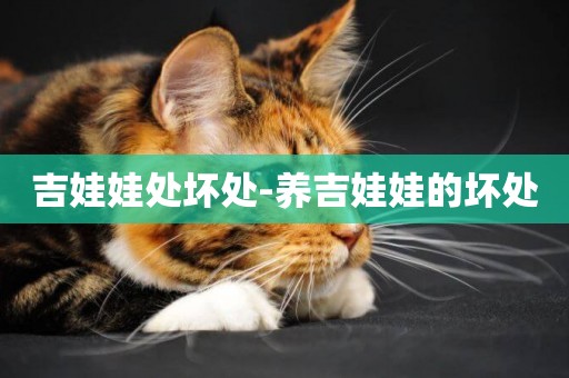 吉娃娃處壞處-養吉娃娃的壞處