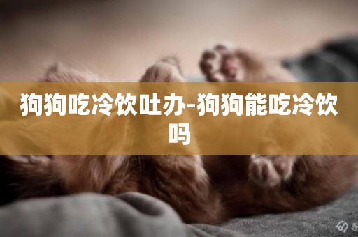 狗狗吃冷飲吐辦-狗狗能吃冷飲嗎