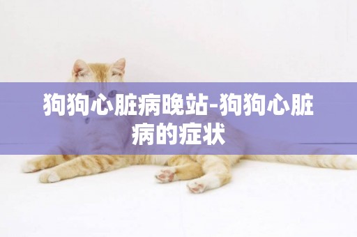 狗狗心臟病晚站-狗狗心臟病的癥狀