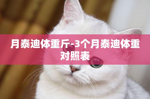 月泰迪體重斤-3個月泰迪體重對照表