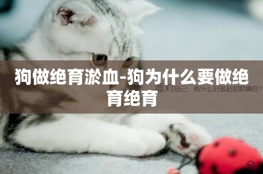 狗做絕育淤血-狗為什么要做絕育絕育