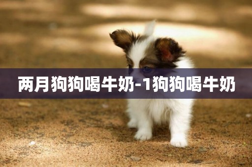兩月狗狗喝牛奶-1狗狗喝牛奶