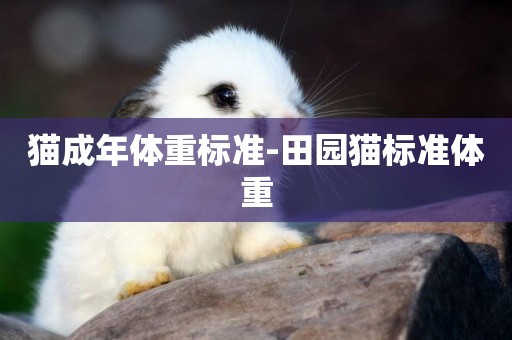貓成年體重標準-田園貓標準體重