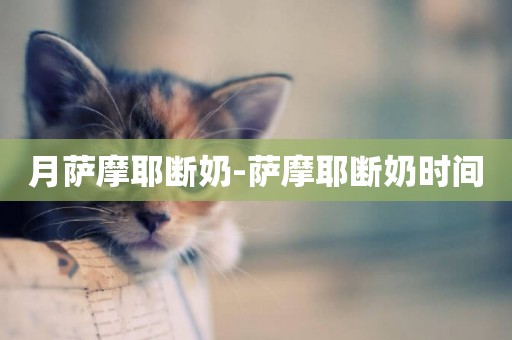 月薩摩耶斷奶-薩摩耶斷奶時間