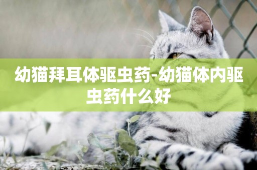 幼貓拜耳體驅蟲藥-幼貓體內驅蟲藥什么好