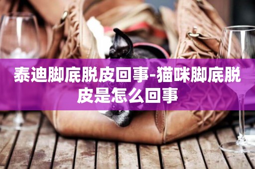 泰迪腳底脫皮回事-貓咪腳底脫皮是怎么回事