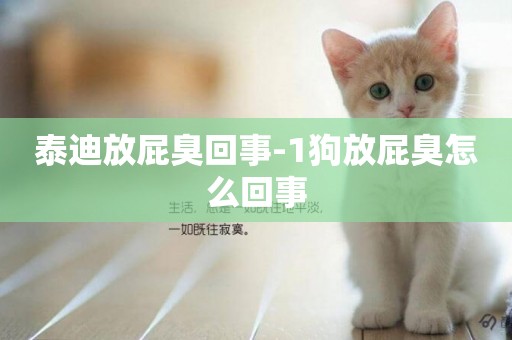 泰迪放屁臭回事-1狗放屁臭怎么回事
