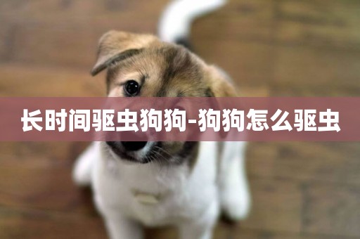 長時間驅蟲狗狗-狗狗怎么驅蟲