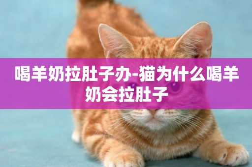 喝羊奶拉肚子辦-貓為什么喝羊奶會拉肚子