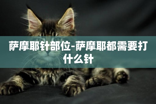 薩摩耶針部位-薩摩耶都需要打什么針