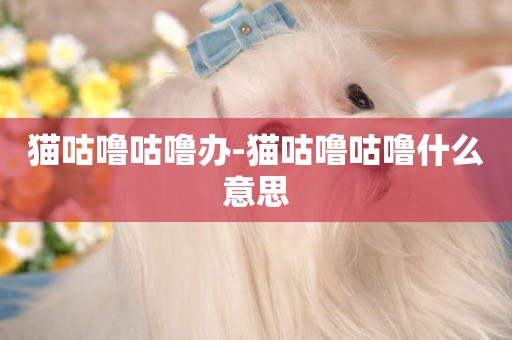 貓咕嚕咕嚕辦-貓咕嚕咕嚕什么意思