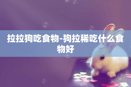 拉拉狗吃食物-狗拉稀吃什么食物好