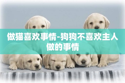 做貓喜歡事情-狗狗不喜歡主人做的事情