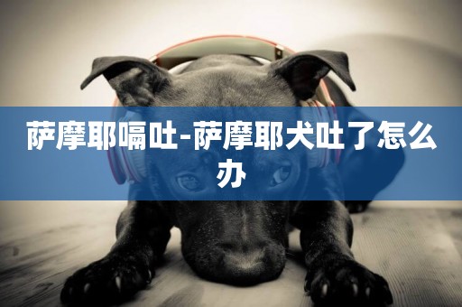 薩摩耶嗝吐-薩摩耶犬吐了怎么辦
