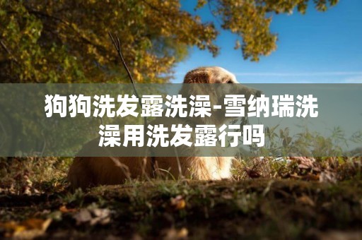 狗狗洗發露洗澡-雪納瑞洗澡用洗發露行嗎