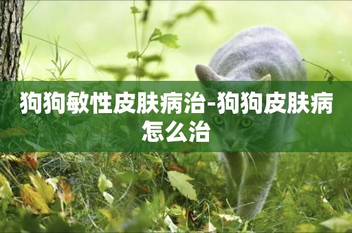 狗狗敏性皮膚病治-狗狗皮膚病怎么治