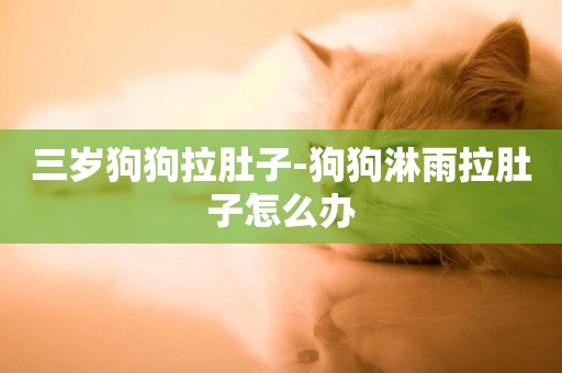 三歲狗狗拉肚子-狗狗淋雨拉肚子怎么辦