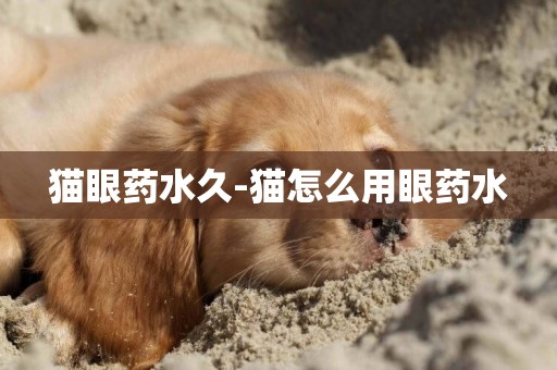 貓眼藥水久-貓怎么用眼藥水