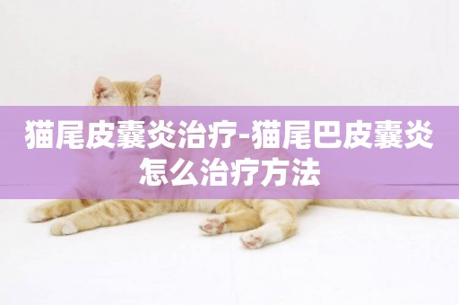 貓尾皮囊炎治療-貓尾巴皮囊炎怎么治療方法