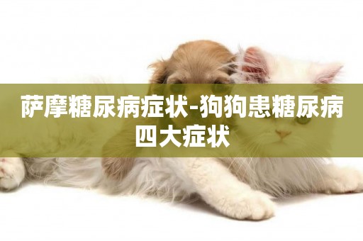 薩摩糖尿病癥狀-狗狗患糖尿病四大癥狀