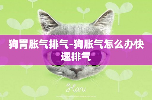 狗胃脹氣排氣-狗脹氣怎么辦快速排氣