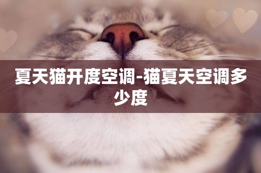 夏天貓開度空調-貓夏天空調多少度