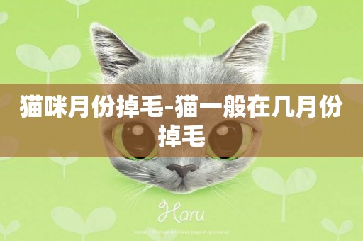 貓咪月份掉毛-貓一般在幾月份掉毛