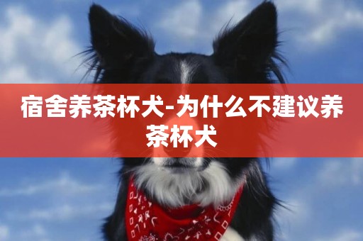 宿舍養茶杯犬-為什么不建議養茶杯犬