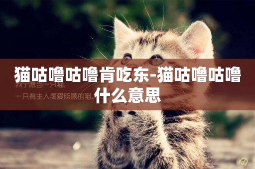 貓咕嚕咕嚕肯吃東-貓咕嚕咕嚕什么意思